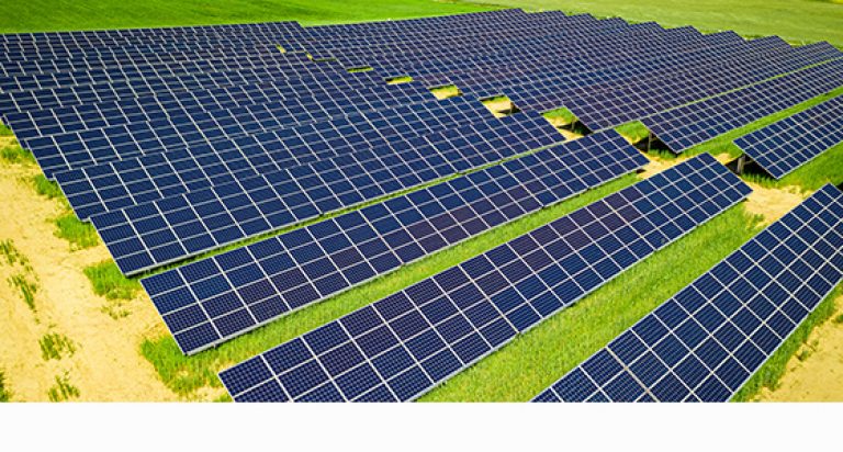 ¿Conoces las granjas solares?
